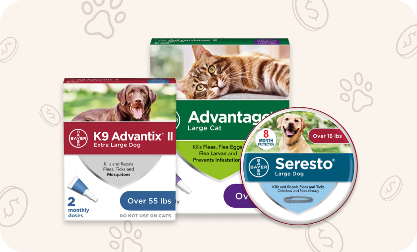 Shop the Best Flea & Tick Deals